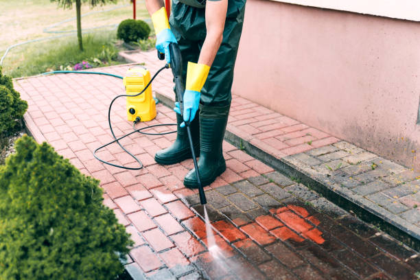 Best Graffiti Removal  in Suncoast Estates, FL