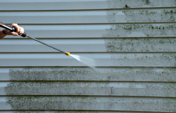 Solar Panel Cleaning in Suncoast Estates, FL